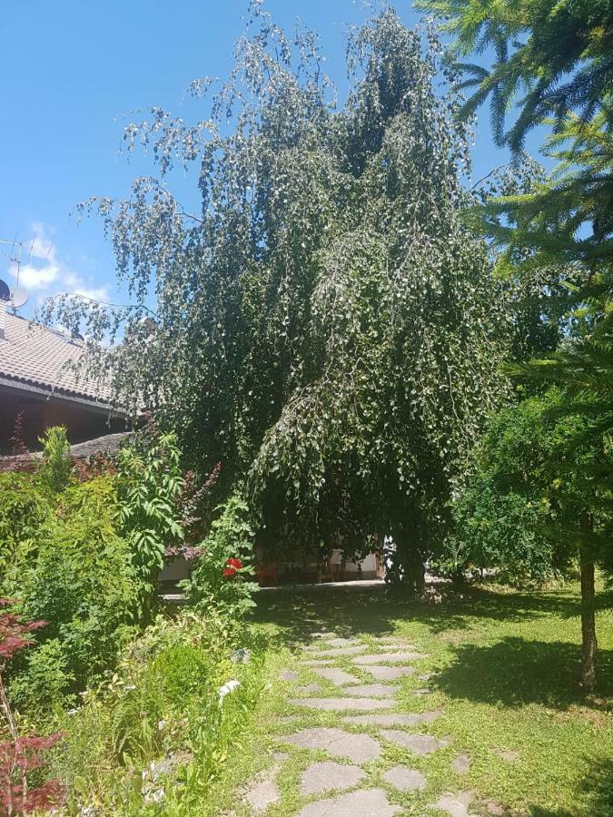 Pelegrin 15 Διαμέρισμα San Vigilio Di Marebbe Εξωτερικό φωτογραφία